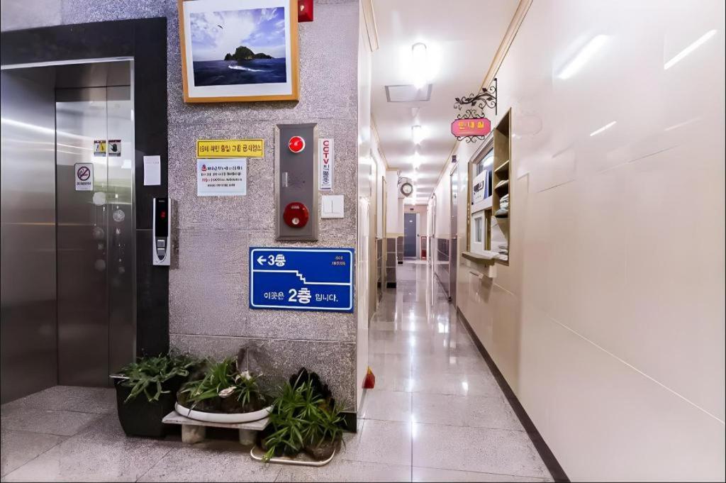 Ace Hotel Ulleungdo エクステリア 写真