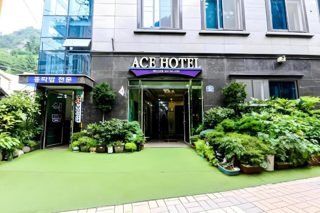 Ace Hotel Ulleungdo エクステリア 写真
