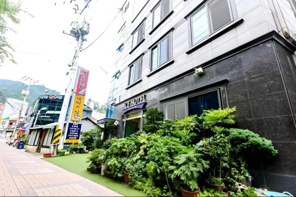 Ace Hotel Ulleungdo エクステリア 写真