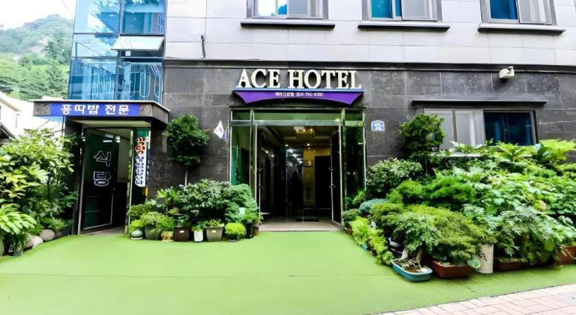Ace Hotel Ulleungdo エクステリア 写真