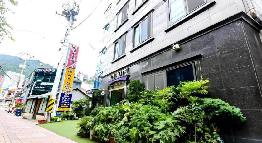 Ace Hotel Ulleungdo エクステリア 写真